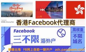 Facebook 海外美国，欧洲，越南，台湾企业户源头代理